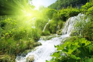 produits naturels